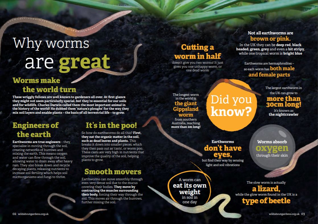 Why worms are great?