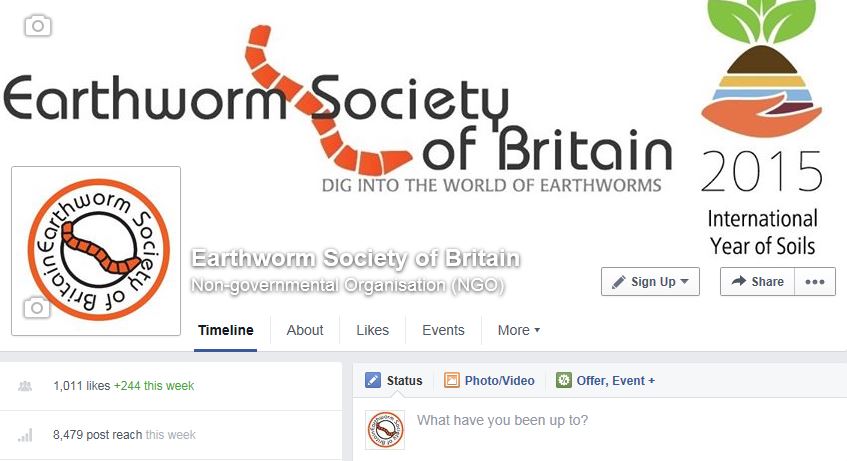 Facebook page with 1,000 likes