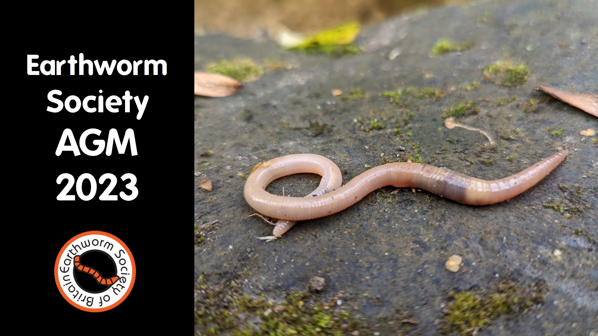 Earthworm Society AGM 2023  Earthworm Society of Britain