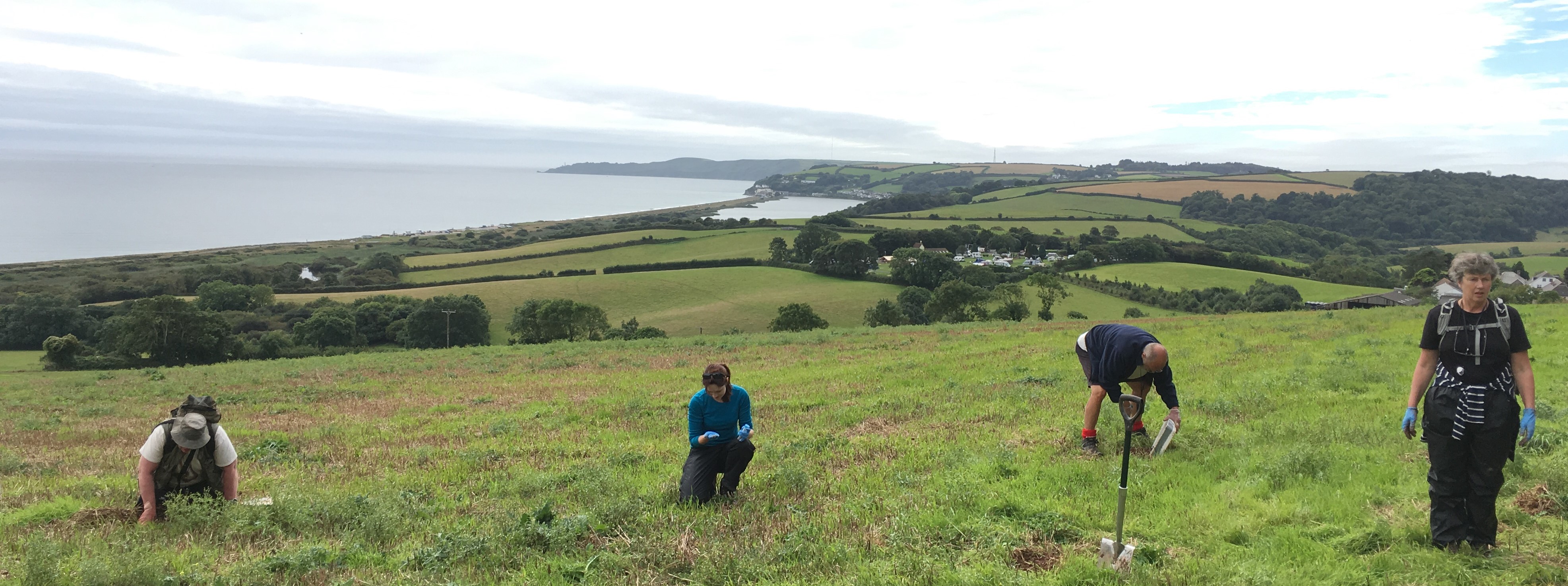 Earthworm Field Trip