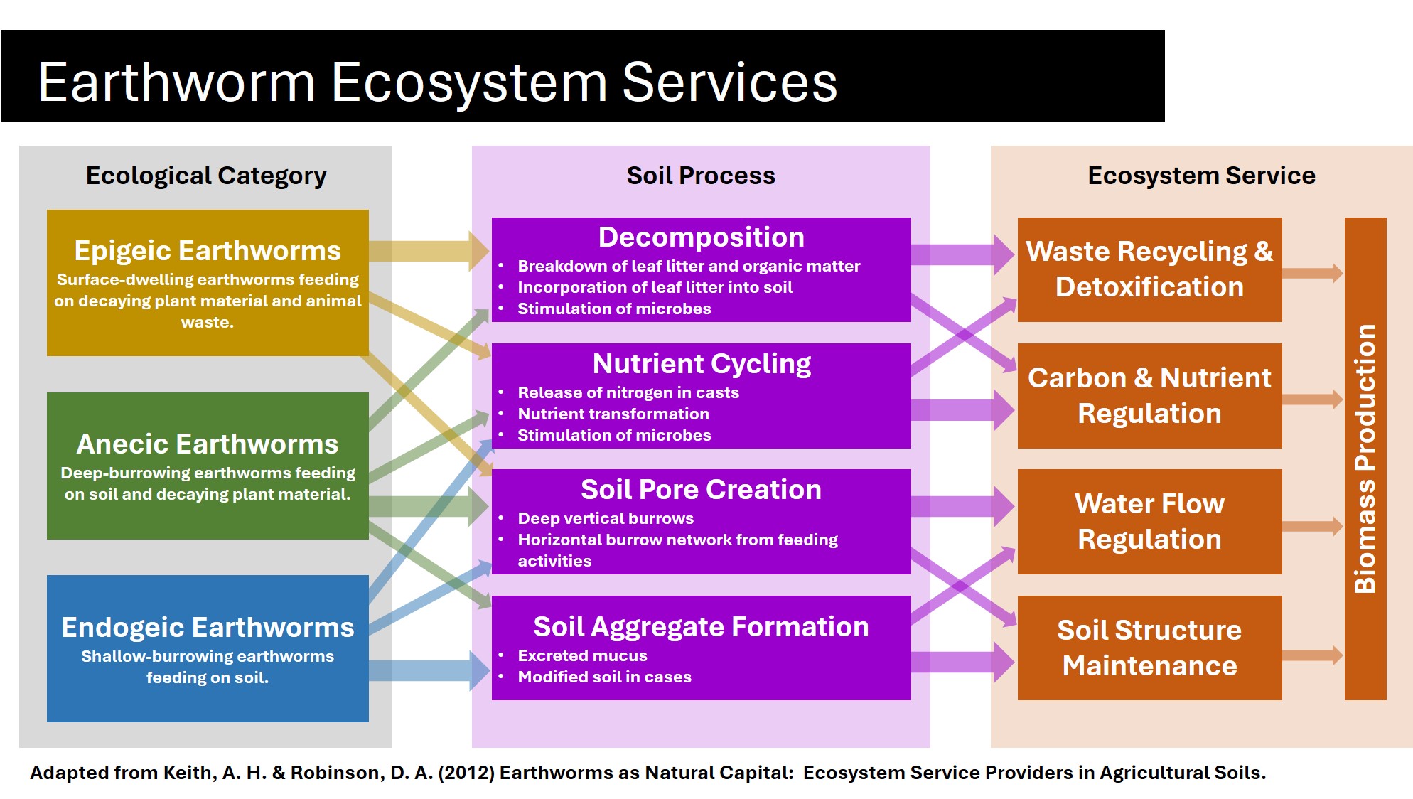 Earthworm Ecosystem Engineers diagram