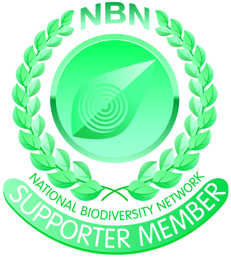 NBN Supporter Member Badge