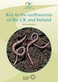 Step 10 - identify the earthworms
