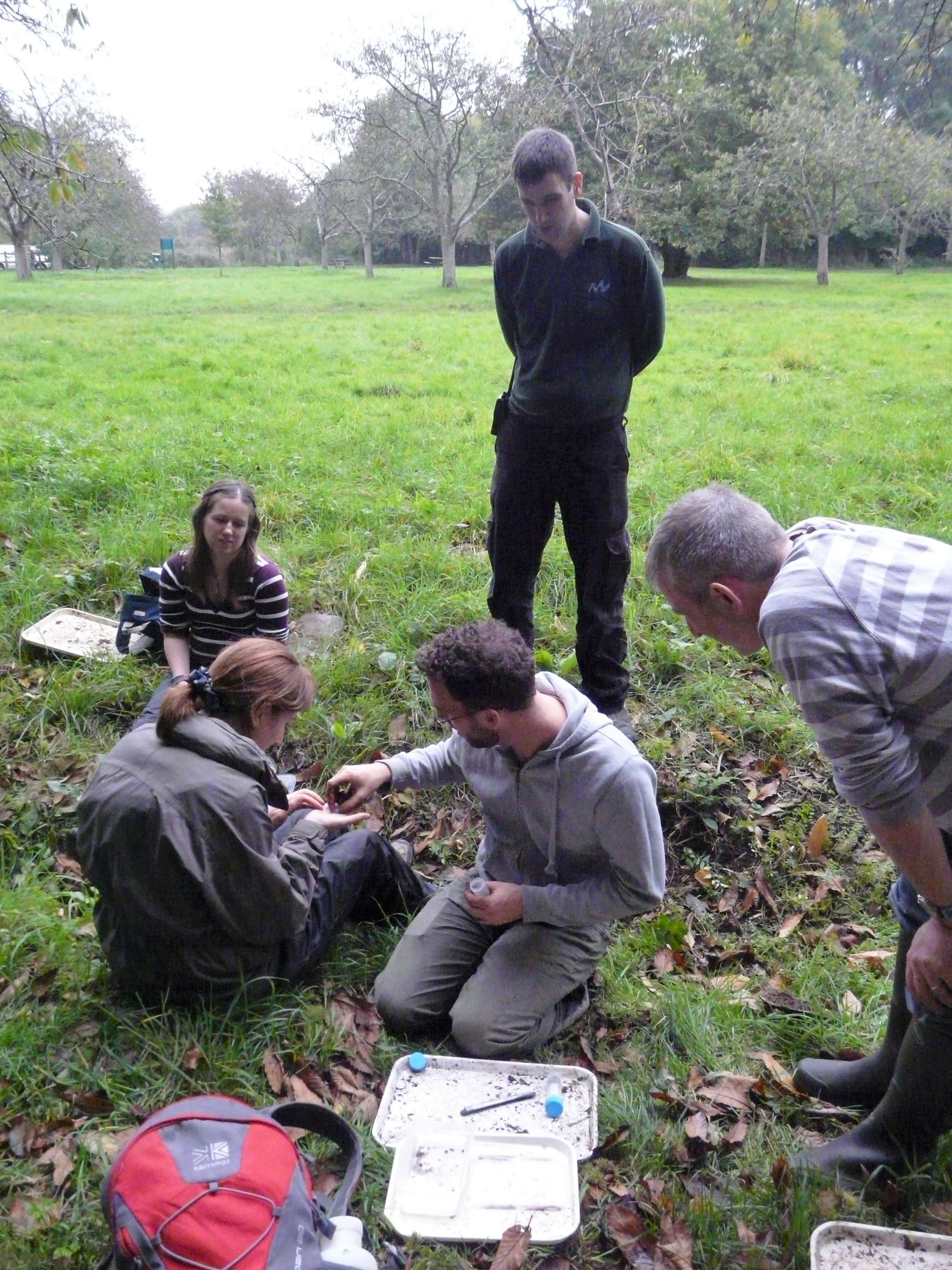 Surveying at Capstone Country Park